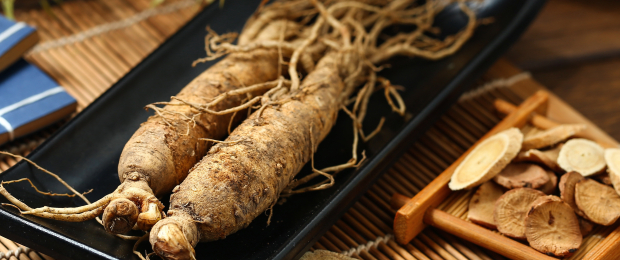 補王之王～人蔘